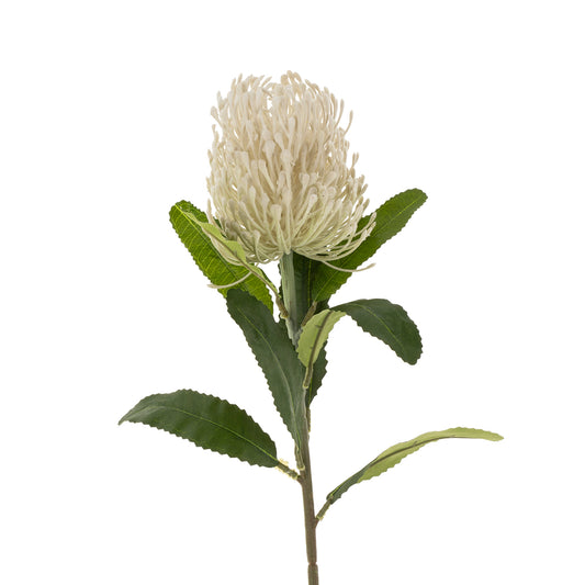 Protea Pin Cushion