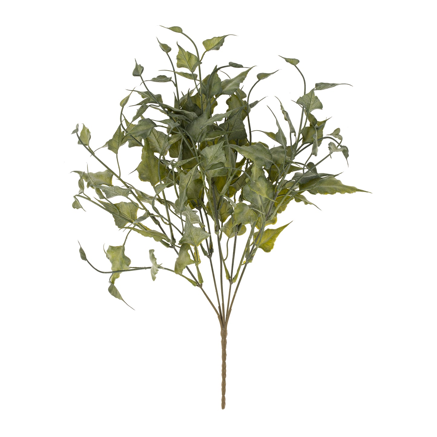 Ivy Spray