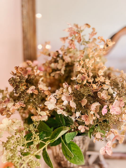 Dried Hydrangea Bunch